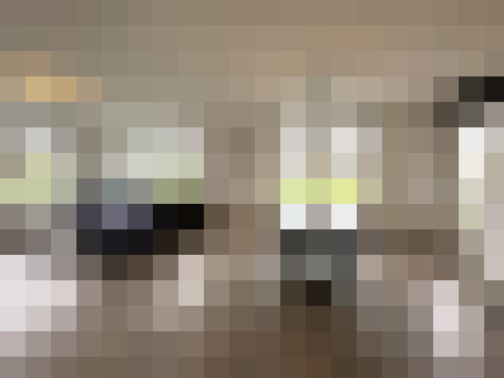  / #15
