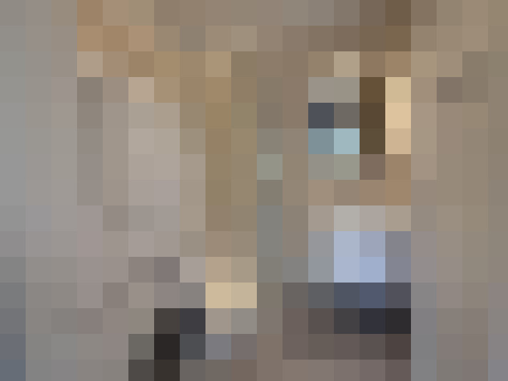  / #12
