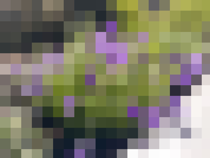 / #15