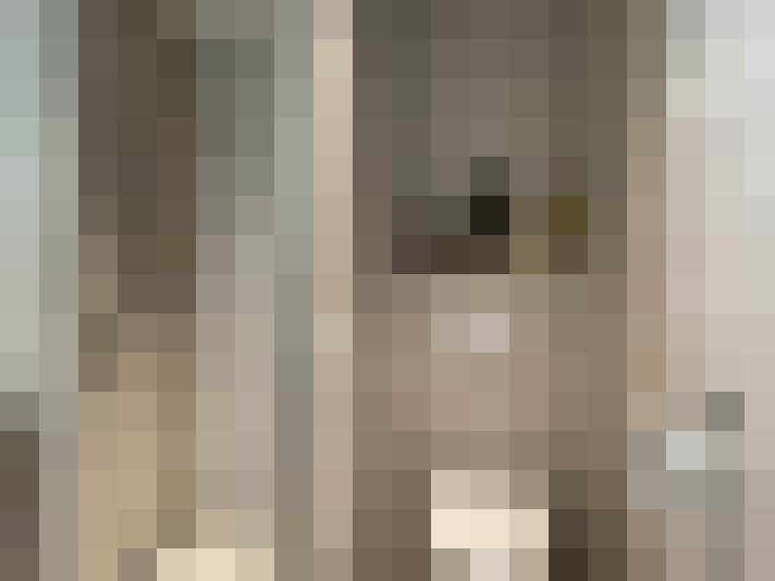 / #14