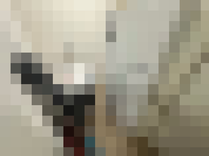  / #15