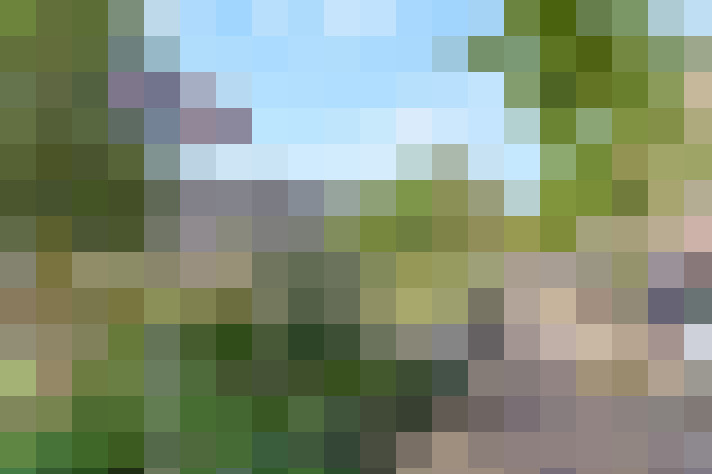  / #48