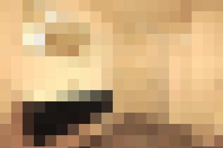  / #13
