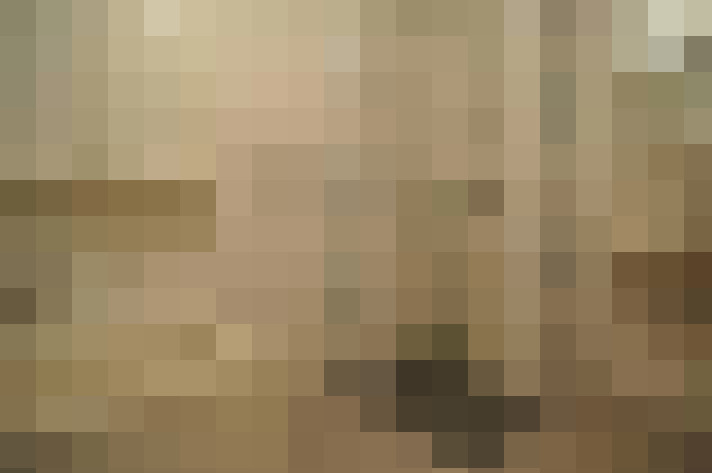  / #10