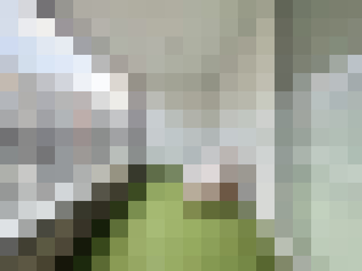  / #15
