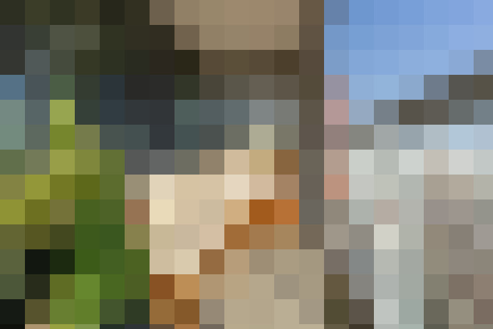  / #19
