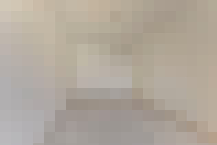 / #17