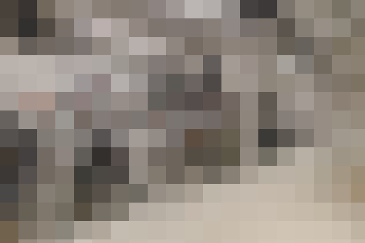  / #23