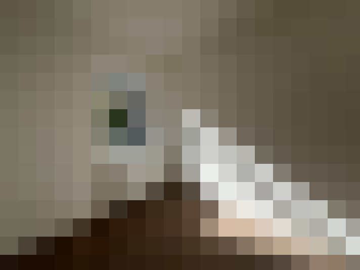  / #15