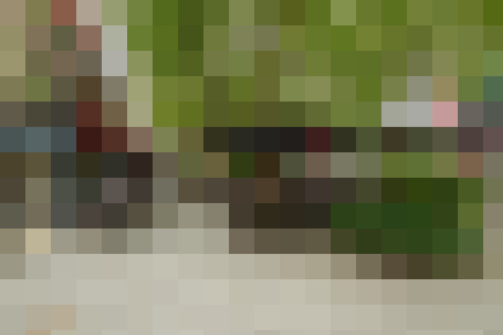  / #24