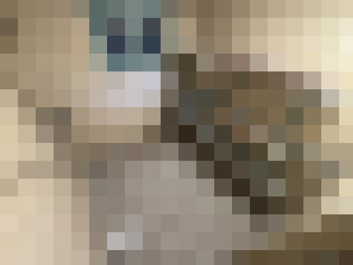  / #17