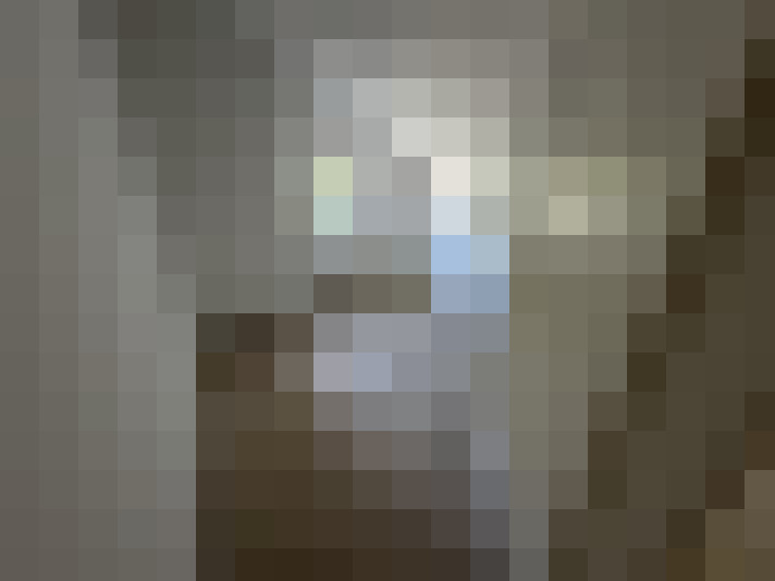  / #15