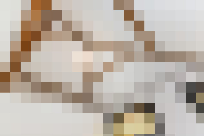  / #25