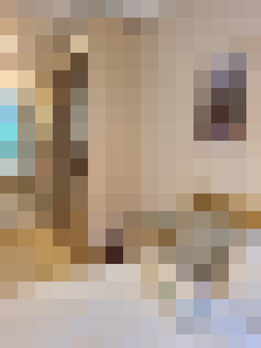  / #16