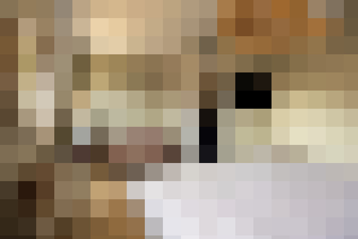  / #28
