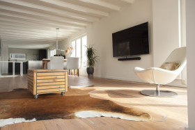 Family home in Amsterdam