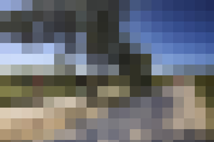  / #66