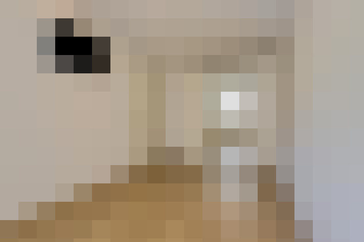  / #11