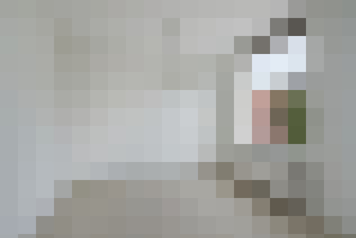  / #20
