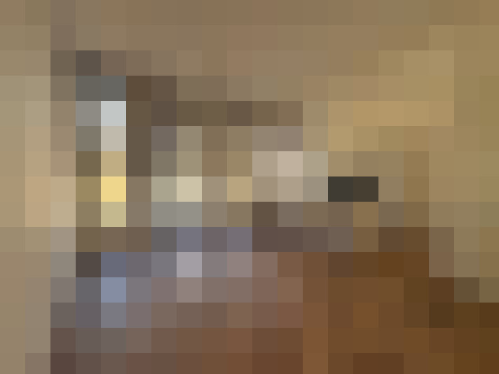  / #8