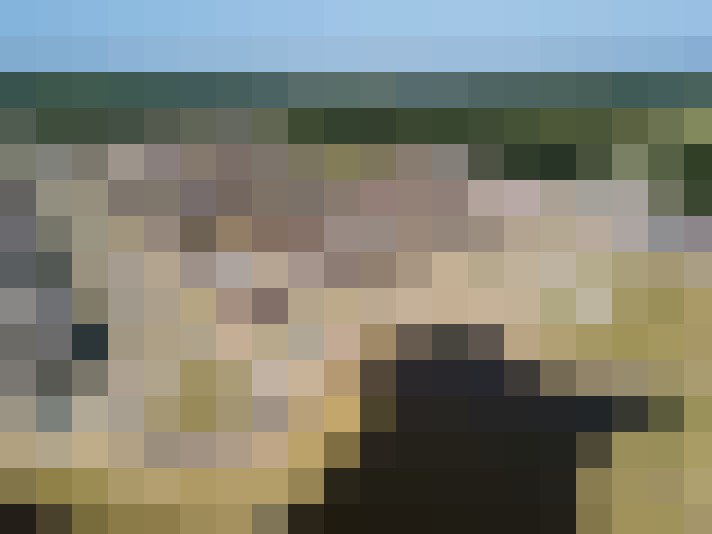  / #13