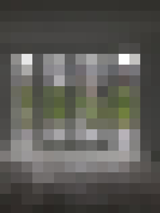  / #14