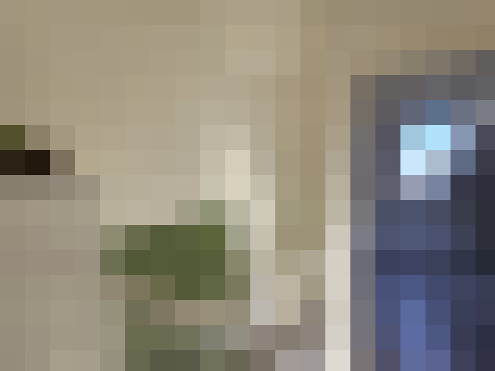  / #14