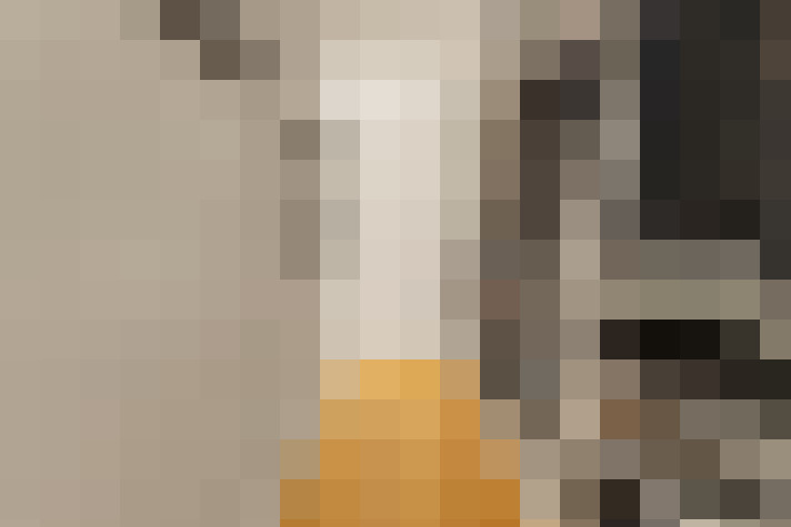  / #21