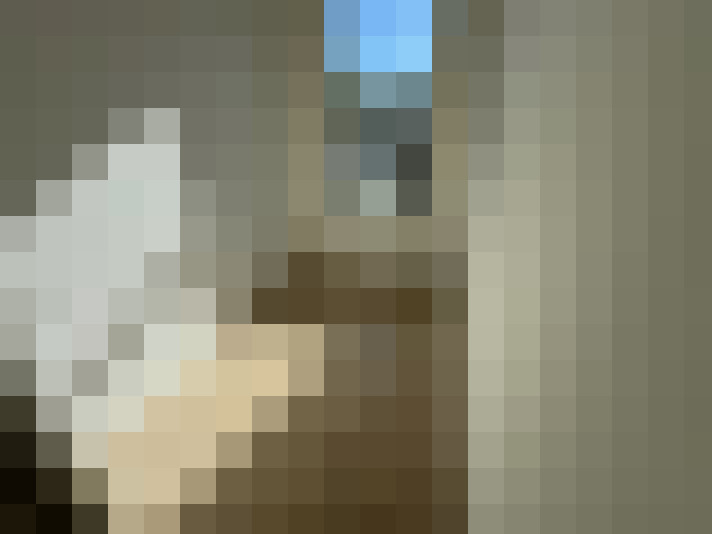  / #14