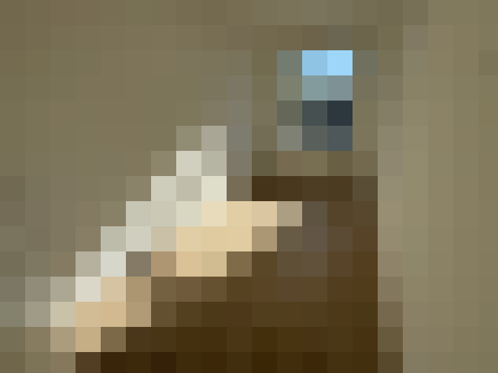  / #16