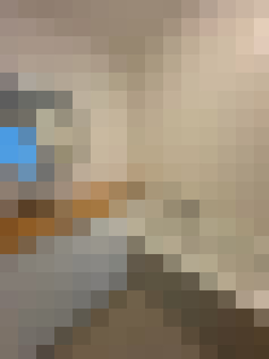  / #15