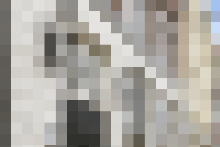  / #17