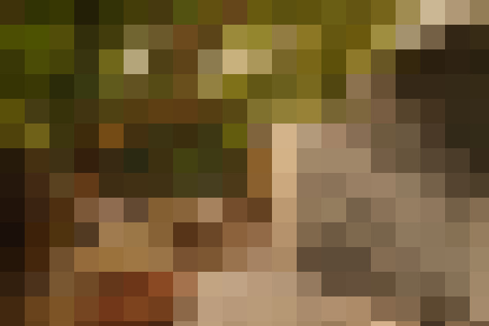  / #17