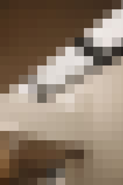  / #23