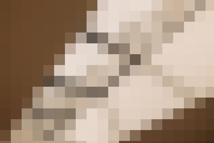  / #20