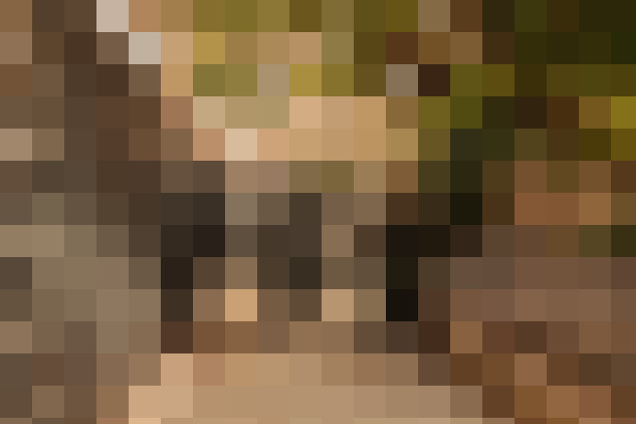  / #19
