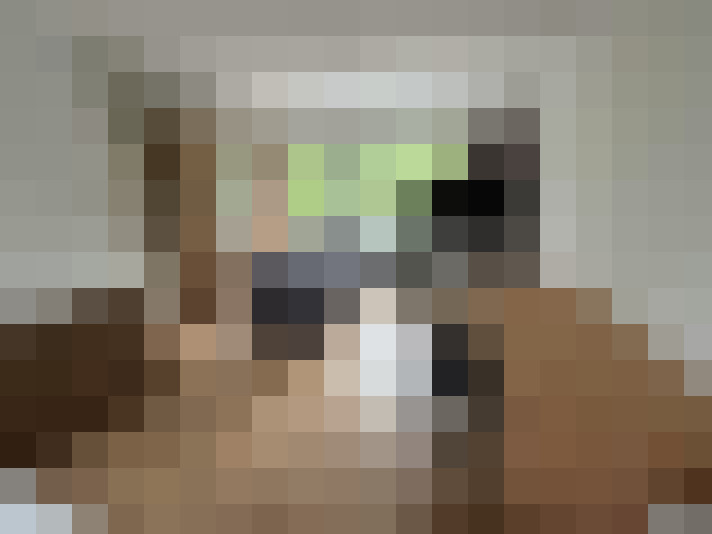  / #8