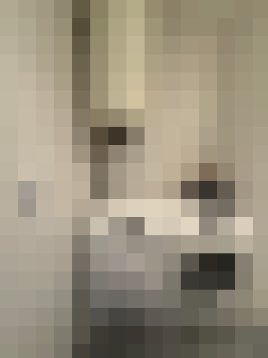 / #22