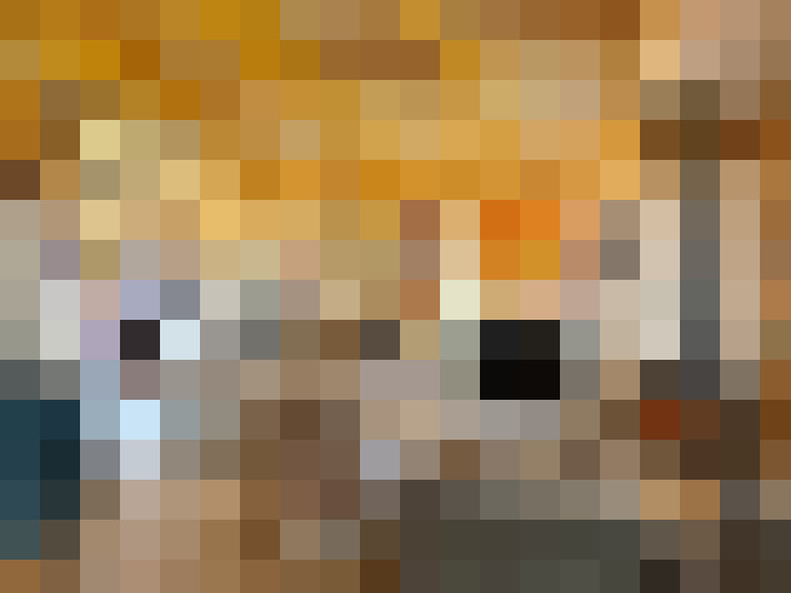  / #17