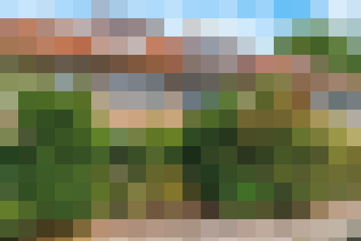 / #79