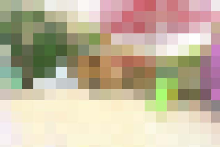  / #76