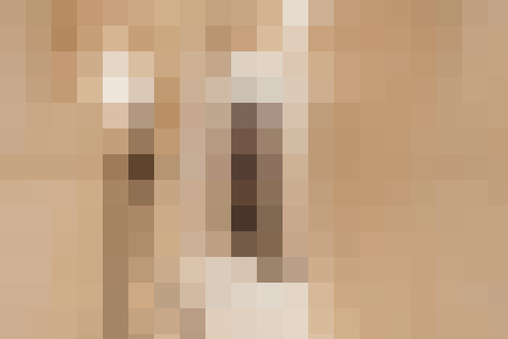  / #24