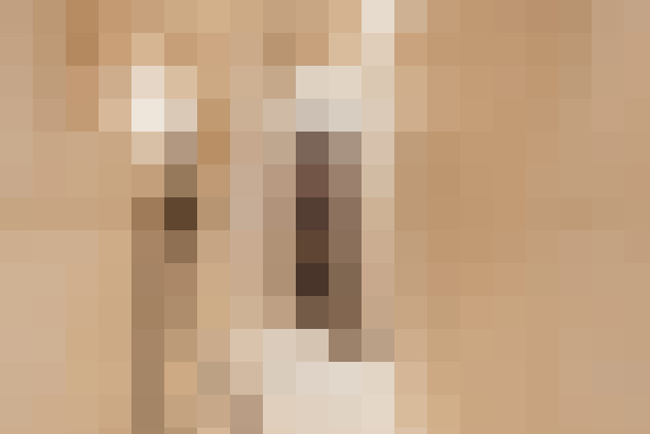  / #71