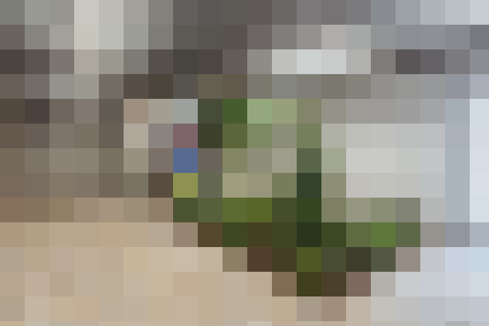  / #84