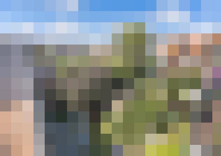  / #17