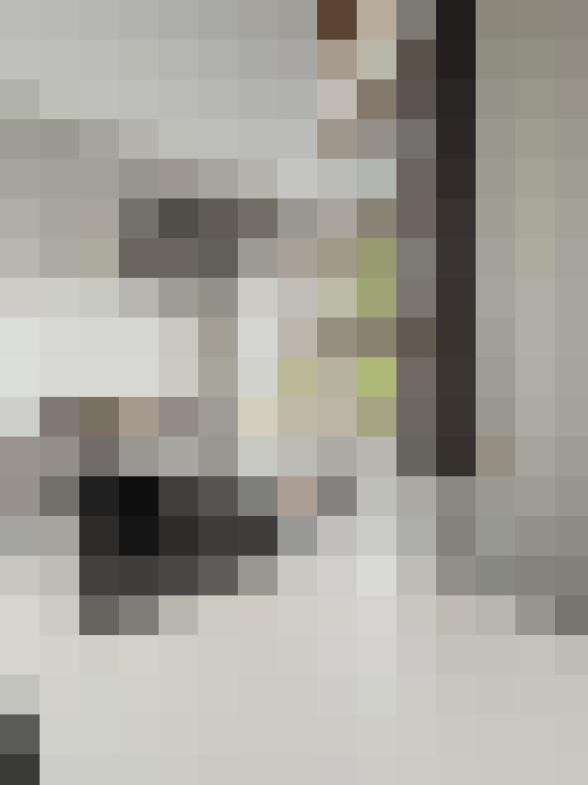  / #11