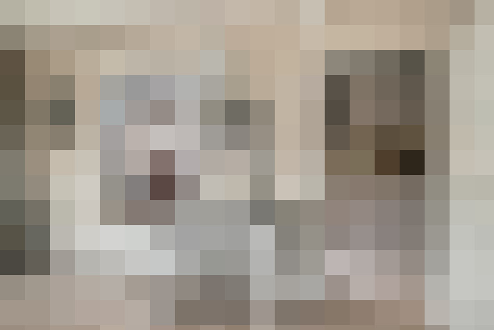  / #12