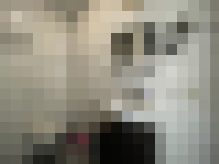  / #14