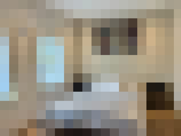  / #21