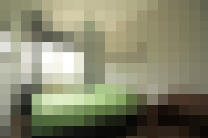  / #16
